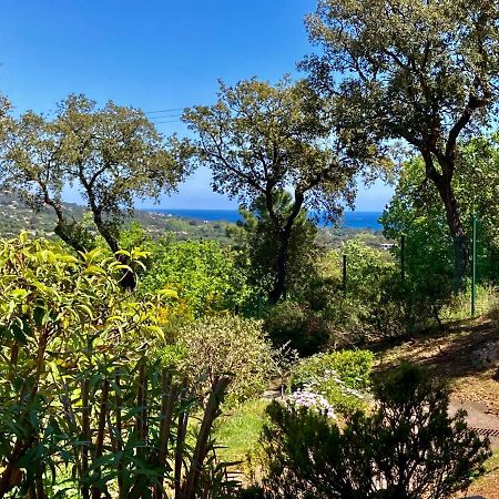 Les Restanques vue mer 5 pers Glycine 2067 Grimaud Eksteriør bilde