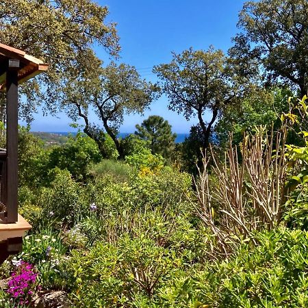 Les Restanques vue mer 5 pers Glycine 2067 Grimaud Eksteriør bilde